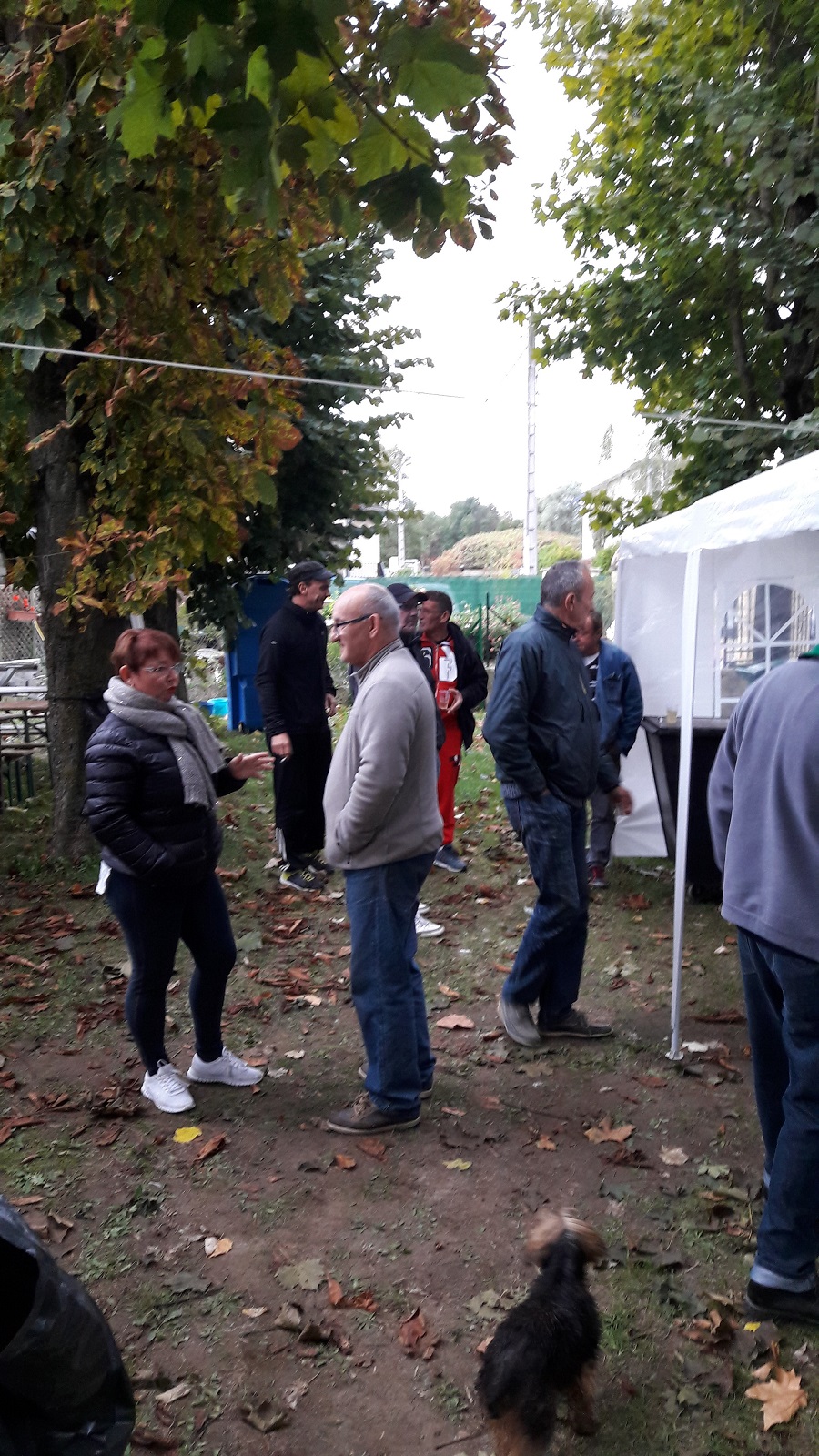 Photo du club de pétanque la boule loisirs de messein  - 177